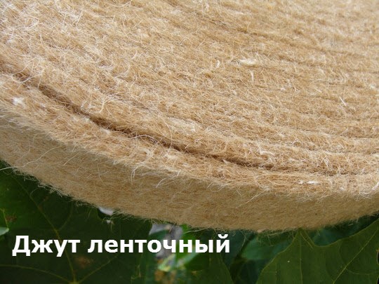 джут