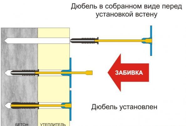одиннадцать