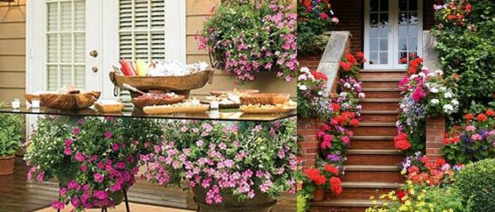 Крыльцо с цветами в горшках
